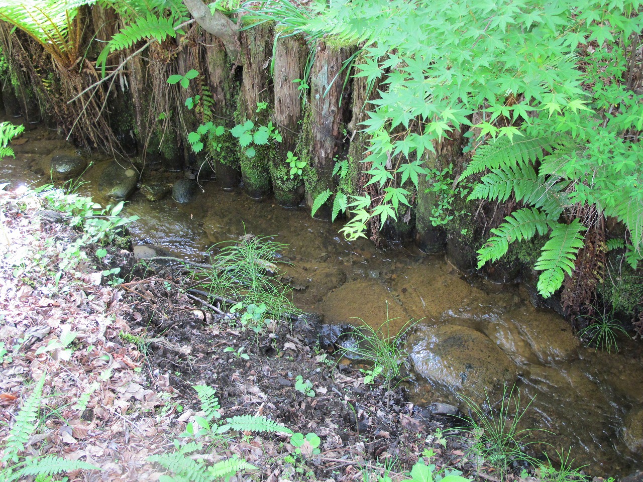 レイクニュータウン 区画：L-41