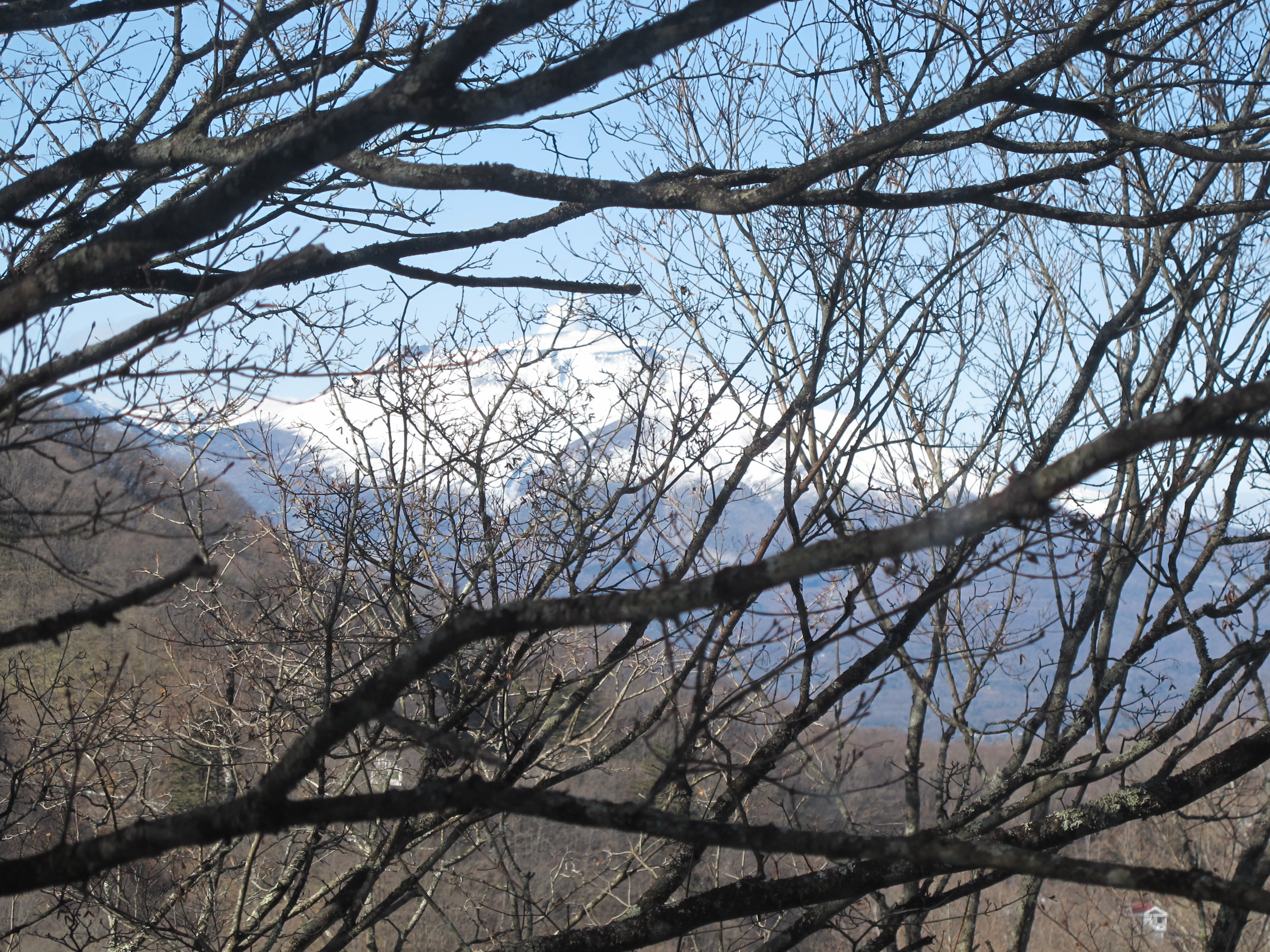 レイクニュータウン 区画：764-1